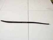 Zierleiste Leiste - Hinten Linke Audi A6, C6 2005.01 - 2008.10 Gebraucht ,