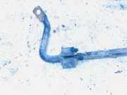 Stabilisator Stabi Hinten Hinterachse Volvo V50, 2004.04 - 2007.05 Gebraucht,