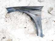 Kotflügel - Vorne Linke Renault Megane, II 2002.11 - 2006.06 Pilka,