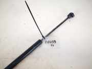 Gasdruckfeder Kofferraum Renault Megane, II 2002.11 - 2006.06 8200051750,