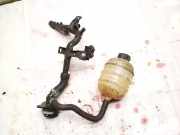 Ausgleichsbehälter Peugeot 206, 2002.07 - 2009.01 facelift 9648568180, 9647777280