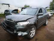 Ansaugkrümmer Hyundai Santa Fe, 2006.03 - 2012.09 Gebraucht, Used