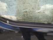 Zierleiste Leiste - Vorne Rechts Toyota Yaris Verso, 1999.11 - 2005.09 Gebraucht,