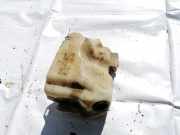 Scheibenwaschbehälter Vorne Wischwasserbehälter Renault Megane, II 2002.11 - 2006.06 8200104705,
