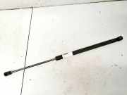 Gasdruckfeder Kofferraum Audi A3, 8P 2003.05 - 2005.06 2315ts0410n,