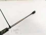 Gasfeder für Motorhaube Skoda Octavia, II 2004.02 - 2009.03 8318910493,