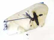 Scheibenwaschbehälter Vorne Wischwasserbehälter Audi A4, B6 2000.11 - 2004.11 8e0955453k,