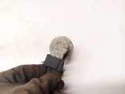 Glühbirnenfassung Blinker Volkswagen Sharan, 7M 1995.09 - 2000.04 Gebraucht,