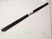 Zierleiste Leiste - Vorne Linke Mitsubishi Pajero, 1999.10 - 2006.12 Gebraucht,