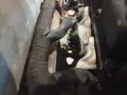 Einspritzdüse Hyundai Lantra, 1996.02 - 2000.09 Gebraucht,