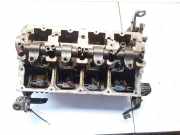 Zylinderkopf Volkswagen Golf, V 2003.10 - 2008.10 038103373R, 038103373R BLS