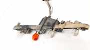 Lampenträger Heckleuchte - Hinten Renault Scenic, II 2003.06 - 2006.06 Gebraucht,