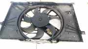 Kühlerlüfter Lüftermotor Mercedes-Benz A-CLASS, W169, 2008.09 - 2012.06 facelift a1698203642,0130307008