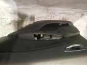 T?rverkleidung - Hinten Rechts Fiat Bravo, 2006.11 - 2014 Gebraucht,