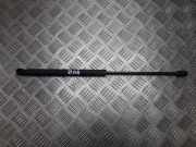 Gasdruckfeder Kofferraum Opel Vectra, C 2002.04 - 2005.10 9180255, 0482ri0680n1735