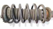 Fahrwerksfeder vorne Citroen C5, II 2008.02 - 2011.01 Gebraucht,