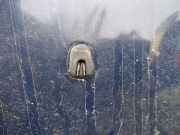 Waschwasserdüse Scheibenreinigung Volvo V40, I 1995.07 - 2000.07 Gebraucht,