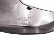 Schwellerverkleidung - Hinten Linke Renault Laguna, III 2007.10 - 2010.11 768990001r, mp6071