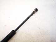 Gasdruckfeder Kofferraum Rover 75, 1999.02 - 2005.05 bmh500010,