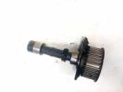 Ölpumpe Fiat Stilo, 2001.10 - 2007.01 sf713119,sf713119