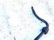 Stabilisator Vorne Peugeot 307, 2000.08 - 2005.06 Gebraucht,