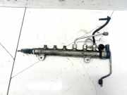 Kraftstoffverteiler Hyundai Accent, 2005.11 - 2010.11 0445214111,31400-2a410 005589l2