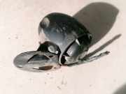 Alarmanlage Peugeot Partner, I 2003.01 - 2009.06 facelift Gebraucht,