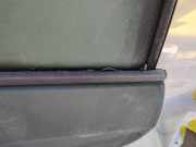 Zierleiste Leiste - Vorne Rechts Renault Scenic, II 2003.06 - 2006.06 Gebraucht,