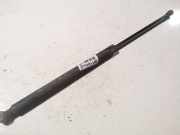 Gasdruckfeder Kofferraum Peugeot 207, 2006.02 - 2009.06 Gebraucht,