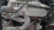 Abgaskühler AGR-Kühler Skoda Octavia, II 2004.02 - 2009.03 038131513AD,03G131063E