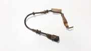Kabelbaum Opel Signum, 2003.05 - 2008.06 24418887,