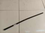 Zierleiste Leiste - Hinten Linke Renault Scenic, III 2009.02 - 2013.06 Gebraucht,