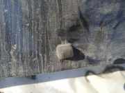 Waschwasserd?se Scheibenreinigung Citroen Evasion, I 1994.01 - 2002.12 Gebraucht,