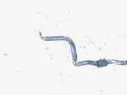 Stabilisator Vorne Opel Zafira, A 1999.04 - 2003.11 Gebraucht,