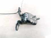 Lang Heckklappe Scharniere Scharnier - Hinten Rechts Renault Vel Satis, 2002.06 - 2009.12 Gebraucht ,