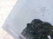 Seitenscheibe - Hinten Rechts Honda CR-V, IV 2011.06 - 2015.12 as3,