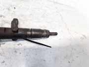 Einspritzdüse Renault Scenic, II 2003.06 - 2006.06 0445110110b,8200100272