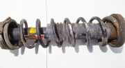 Fahrwerksfeder Hinterachse Rover 200, 1995.10 - 2000.03 Gebraucht,