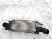 Ladeluftkühler Citroen C5, I 2004.08 - 2008.02 facelift 9645682220, 874823NK