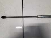 Gasfeder für Motorhaube Volkswagen Passat, B5 1996.08 - 2000.11 3B0823359C,3B0823359C