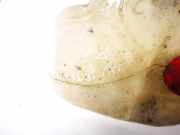 Scheibenwaschbeh?lter Vorne Wischwasserbeh?lter Volkswagen Jetta, MK2 1984.01 - 1992.07 191955453b,