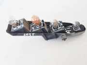 Lampenträger Heckleuchte - Hinten Renault Scenic, II 2003.06 - 2006.06 159118,