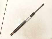 Gasdruckfeder Kofferraum Nissan Murano, Z50 2003.08 - 2008.06 Gebraucht,