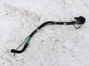 Tankeinfüllstutzen Tankrohr Kraftstoffrohr BMW X5, E53 2000.01 - 2003 Gebraucht,