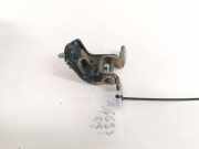 Lang Heckklappe Scharniere Scharnier - Hinten Rechts Renault Laguna, II 2001.03 - 2006.05 Gebraucht,