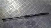 Gasdruckfeder Kofferraum Peugeot 307, 2000.08 - 2005.06 Gebraucht,