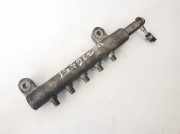 Kraftstoffverteiler Nissan X-Trail, 2001.06 - 2007.06 03h2179,
