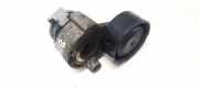 Spannrolle Renault Megane, II 2002.11 - 2006.06 117503662R,117503662R AC-46000