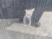 Waschwasserdüse Scheibenreinigung Mazda Premacy, 1999.01 - 2005.03 Gebraucht,