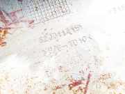 Zier-Schutzleiste Sto?f?nger - Hinten Linke Renault Megane, II 2002.11 - 2006.06 8200114151,